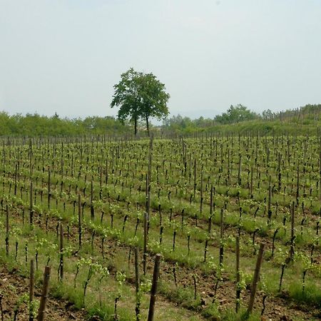 Villa Dragoni Buttrio Buitenkant foto